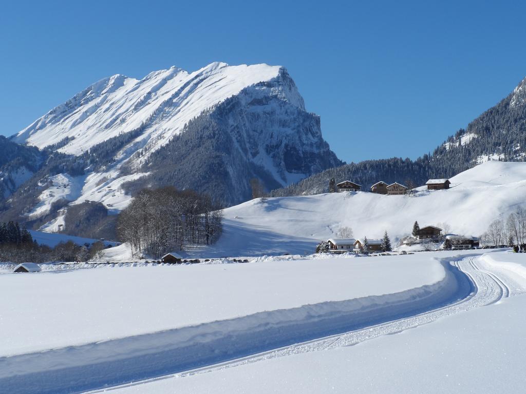 Haus Maria-Theresia Schoppernau Luaran gambar